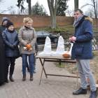 zdjęcie nr 16