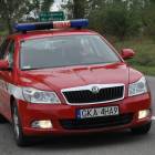 zdjęcie nr 136
