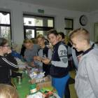 zdjęcie nr 16
