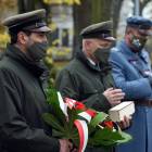 zdjęcie nr 11