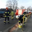 zdjęcie nr 15