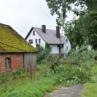 zdjęcie nr 31