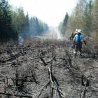 fot. nadesłane/OSP Hopowo