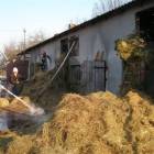 zdjęcie nr 8