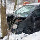 zdjęcie nr 11