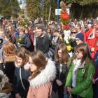 zdjęcie nr 19