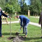 zdjęcie nr 25