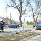 zdjęcie nr 10