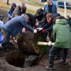 zdjęcie nr 18