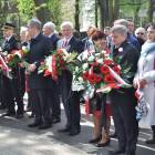 zdjęcie nr 31