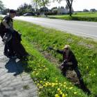 zdjęcie nr 18