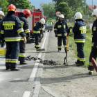 zdjęcie nr 17