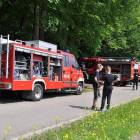 zdjęcie nr 46