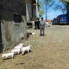 fot. Longina Templin