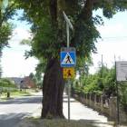fot. Longina Templin