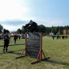 zdjęcie nr 73