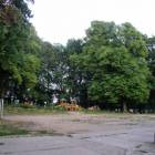 Drzewa w parku mają ponad 160 lat /fot. Longina Templin