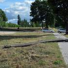 zdjęcie nr 17