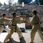 Pokazy walk Teakwon-do