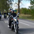 zdjęcie nr 235