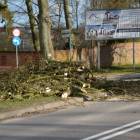 zdjęcie nr 16