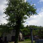 zdjęcie nr 30