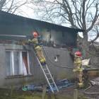 zdjęcie nr 15