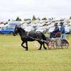 zdjęcie nr 70