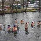 zdjęcie nr 22