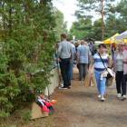 zdjęcie nr 45