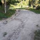 zdjęcie nr 13