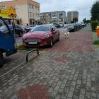 zdjęcie nr 7