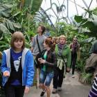 Zwiedzanie ogrodu botanicznego Eden Projeckt /fot. nadesłane