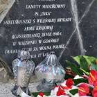 zdjęcie nr 20