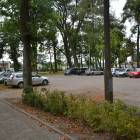 zdjęcie nr 7