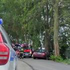 zdjęcie nr 7