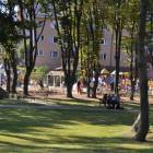 zdjęcie nr 24