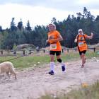 zdjęcie nr 96