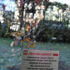 zdjęcie nr 20