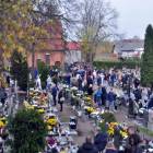 zdjęcie nr 9