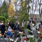zdjęcie nr 13