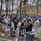 zdjęcie nr 34