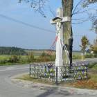 zdjęcie nr 8