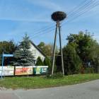 zdjęcie nr 12