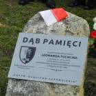 zdjęcie nr 13
