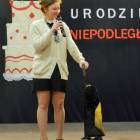 zdjęcie nr 46