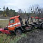 zdjęcie nr 8