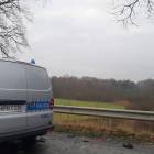 zdjęcie nr 7