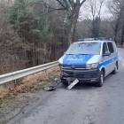 zdjęcie nr 8