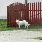zdjęcie nr 17